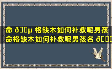 命 🌵 格缺木如何补救呢男孩「命格缺木如何补救呢男孩名 🐈 字」